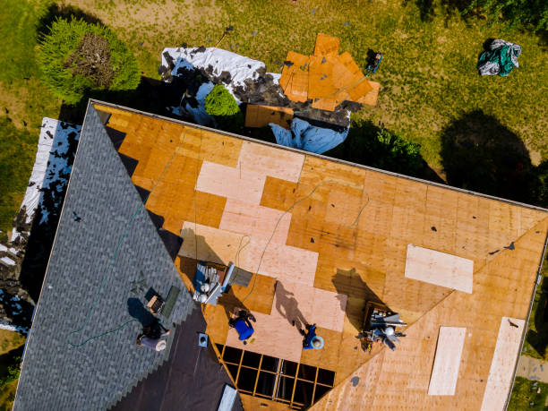 Best Roof Maintenance Services  in Como, MS
